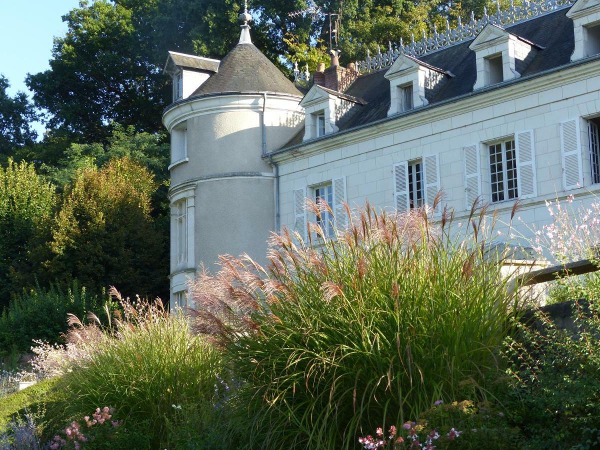 Bed and Breakfast Manoir De La Vigneraie Athee-sur-Cher Екстер'єр фото