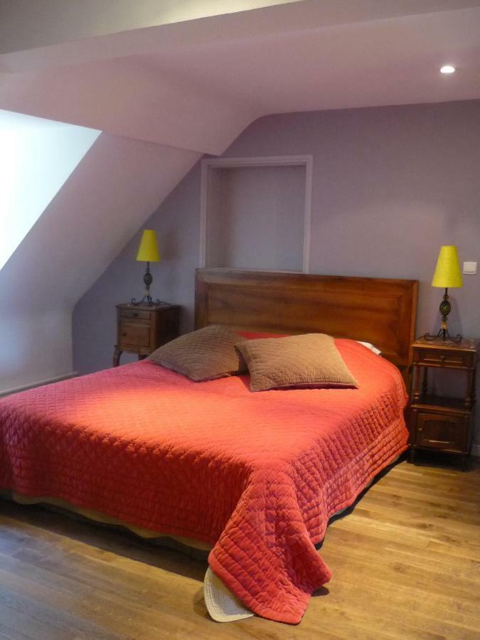 Bed and Breakfast Manoir De La Vigneraie Athee-sur-Cher Екстер'єр фото