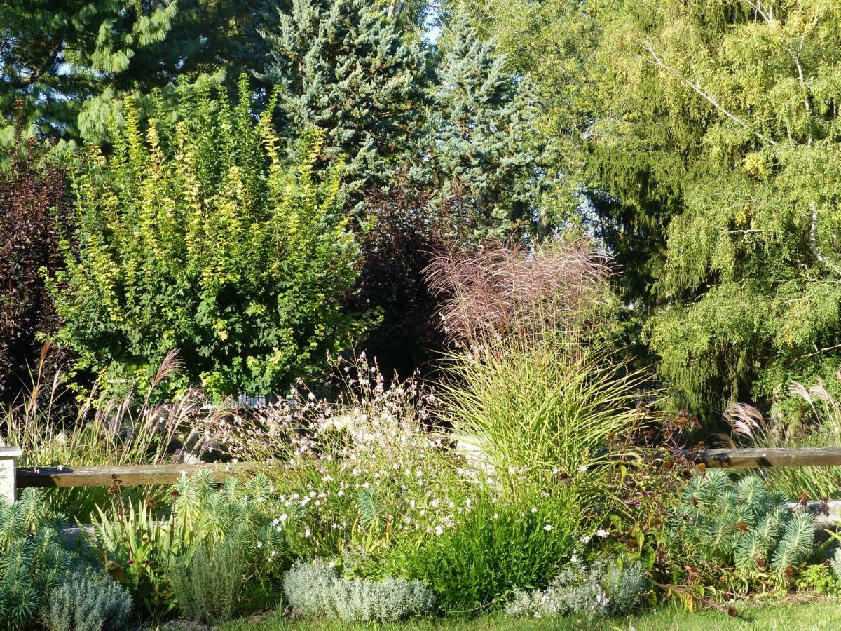 Bed and Breakfast Manoir De La Vigneraie Athee-sur-Cher Екстер'єр фото